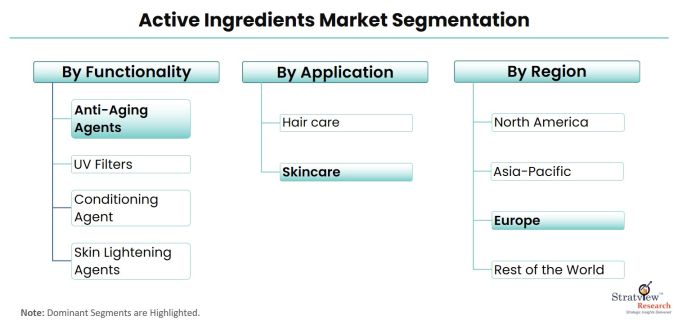 Active-Ingredients-Market-Segmentation